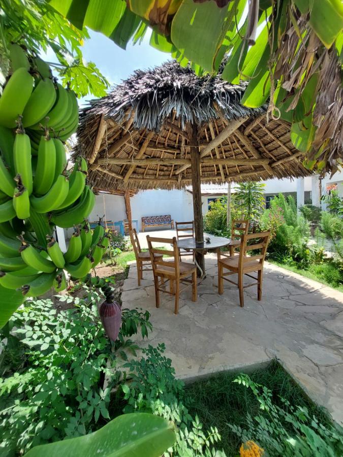 Karibu House Bed & Breakfast Paje Dış mekan fotoğraf